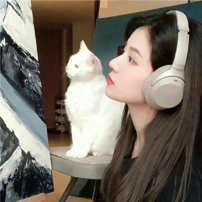 全员恶玉海报